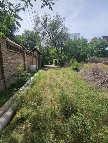 в аренду помешение: 8 соток, Курулуш, Кызыл китеп, Сатып алуу-сатуу келишими