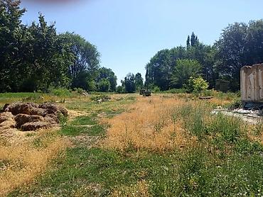 Продажа коттеджей и домов: Продается загородный дом с прилегающей территорией, предлагающий — 6