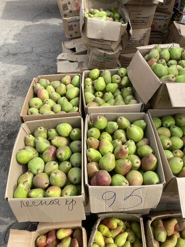 мясо домашней курицы цена: Алмуруттар Дүңүнөн, Өзү алып кетүү, Акылуу жеткирүү