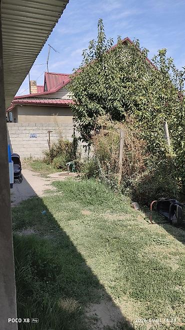 бир: 40 м², 2 бөлмө, Ак-Босого ж/м, Жаныбарлары жок — 5