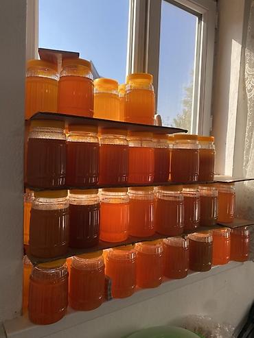 бал кымыз цена: 🍯 ТАЗА ТОКТОГУЛ БАЛЫ САТЫЛАТ — ДААРЫ КАДЫРИ КҮЧТҮҮ! 🍯 Улуттук Токтогул — 2