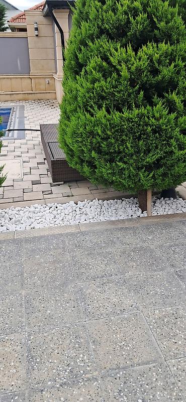 aqlay daşı: Ağ daşlar Landşaft üçün dekorativ ağ çınqıl daşları - Rəng: qar-ağ - — 2