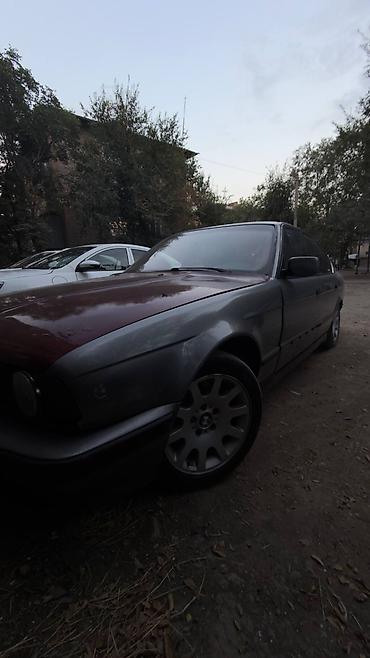 hella e34: BMW 5 series: 1991 г., 2.5 л, Механика, Бензин, Седан — 4