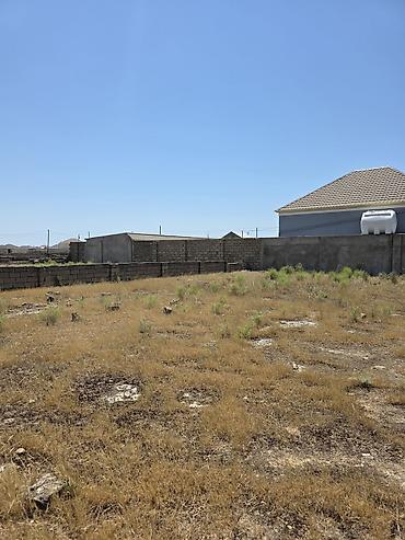 Torpaq: 4 sot, Kupça (Çıxarış) — 7