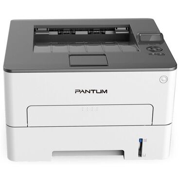 2 v odnom printer i skaner: Принтер Pantum P3010DW (A4, ADF, Printer Monochrome Laser, 1200x1200
