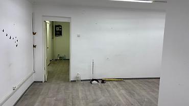 Продажа квартир: 2 комнаты, 48 м², 1 этаж — 12