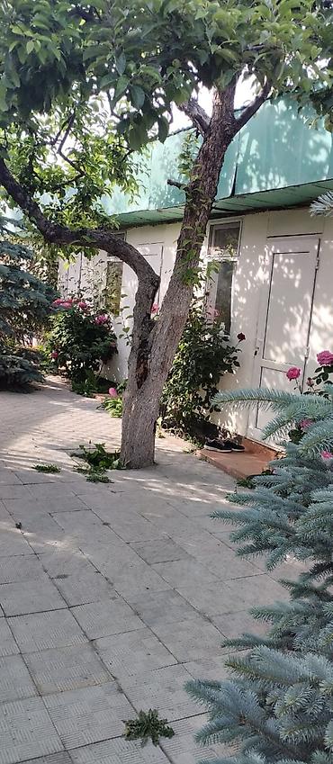 Продажа коттеджей и домов: 🏡 Продается дом в центре г. Чолпон-Ата 📍 Улица Советская, 136 🔹 — 13