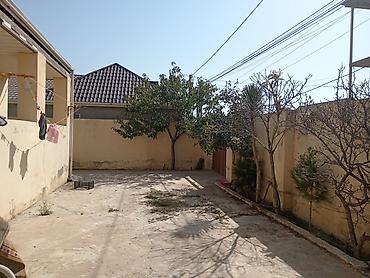 Qonaq otağı dəstləri: Klassik üslubda qonaq otağı dəsti Mebel komplekti: - 3 nəfərlik geniş — 25