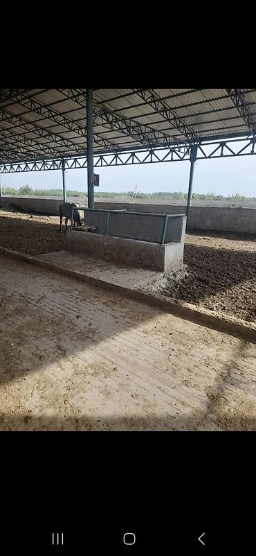 Строительство под ключ: Сварочные работы Изготовление и монтаж металлоконструкций под ключ - — 15