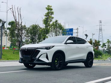 runx alex: Чехолдор Эко булгаары, Жаздыгы бар, түсү - Кара, Changan, Жаңы, Өзү алып кетүү