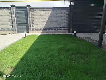 Газон: Сеем газон, Поссев газон, Газон себебиз 🌱 под ключ 🏡по городу бишкек — 3