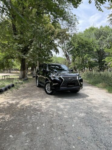 климат контроль: Lexus GX: 2021 г., 4.6 л, Автомат, Бензин, Жол тандабас