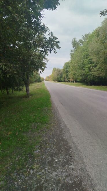 недвижимость в азербайджане: 100 sot, Biznes üçün, Mülkiyyətçi, Kupça (Çıxarış)