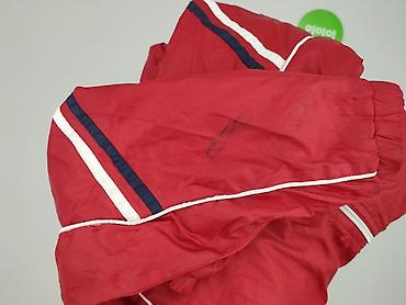pull and bear sweter w paski: Kurtka przejściowa, 8 lat, 122-128 cm, stan - Bardzo dobry — 6