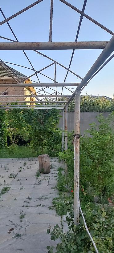 atmalar: Hazir ferma navesdi rusun demirleridi pasi yoxdur ela vezyetdedi hazir — 4