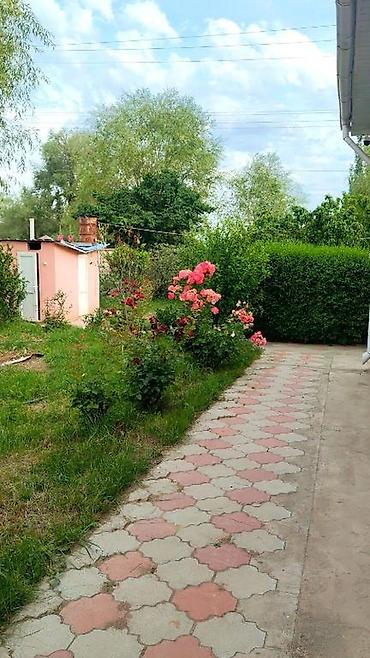 я ищу частный дом: Аренда квартиры на Иссык-Куле, Корумду, 8 мест, Цена Целиком за жилье — 2