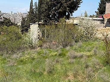 Torpaq sahələrinin satışı: Tikinti — 15