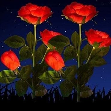 Rasveta: Solarne lale Solarno drvce Silarni ljiljan Solarne ruze Cena za 2kom — 10