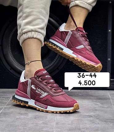 Patike: Tommy,bosa,Lacoste brojevi i cena ispisana na slikama — 5