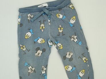 kurtki chłopięce 4f jesienne: Sweatpants, Fox&Bunny, 2-3 years, 92/98, condition - Good