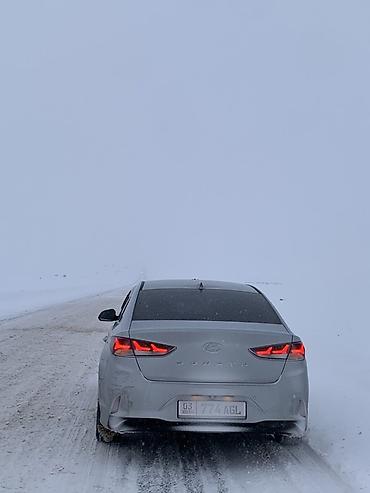 Hyundai: Hyundai Sonata: 2019 г., 0.2 л, Автомат, Газ, Седан — 4