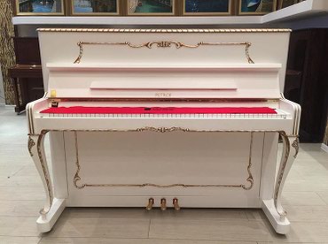 kreditle musiqi aletleri: Pianino Petrof- Çexiya istehsalı professional akustik piano Müxtəlif