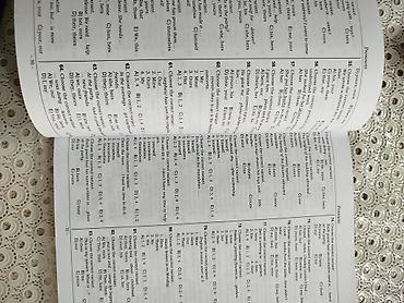 Testlər: İngilis dili Testlər 11-ci sinif, DİM, 1-ci hissə — 2