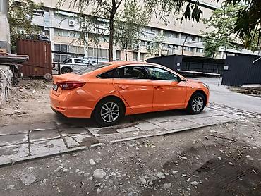 sonata lpi: Hyundai Sonata: 2019 г., 2 л, Газ, Седан — 4