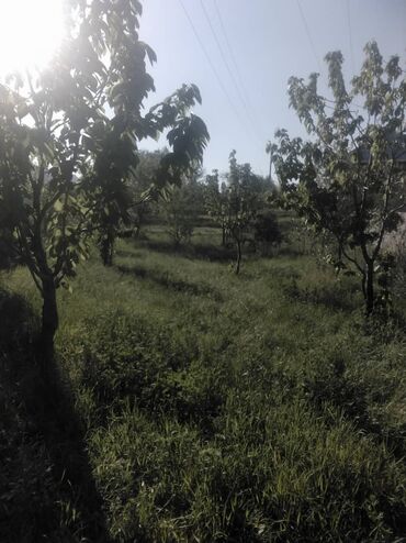 Продажа домов: Дом, 80 м², 4 комнаты, Собственник, Старый ремонт — 8