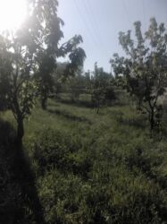 Продажа домов: Дом, 80 м², 4 комнаты, Собственник, Старый ремонт — 11