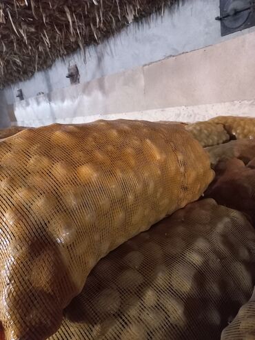 Картошка: Картошка Пикассо — 4