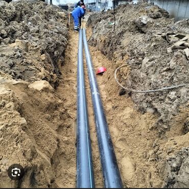 саженцы черного ореха: Самосвал, Доставка щебня, угля, песка, чернозема, отсев, По городу, без грузчика