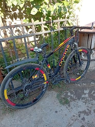 islenmis velosiped: İşlənmiş Şəhər velosipedi Adidas, 29", Ödənişli çatdırılma, Rayonlara çatdırılma, Pulsuz çatdırılma — 4