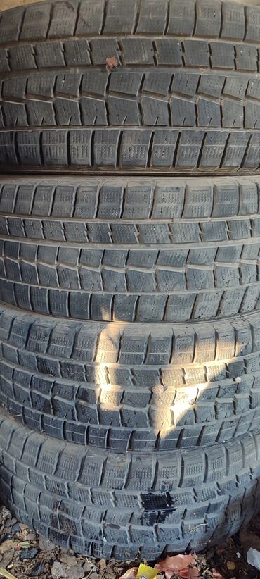 шина 14 зимный: Шины 215 / 60 / R 16, Зима, Б/у, Комплект, Легковые, Dunlop at lalafo.kg шина 14 зимный: Шины 215 / 60 / R 16, Зима, Б/у, Комплект, Легковые, Dunlop