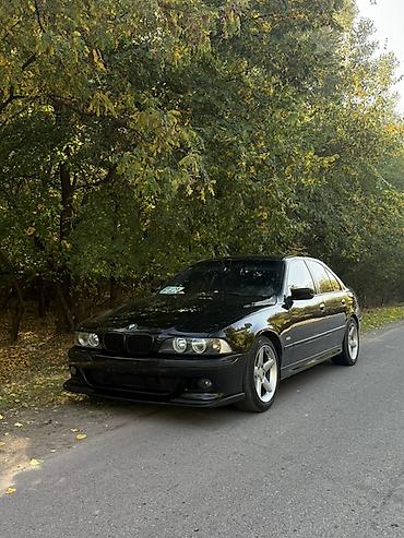 BMW: BMW 5 series: 2002 г., 3 л, Механика, Бензин, Седан — 4