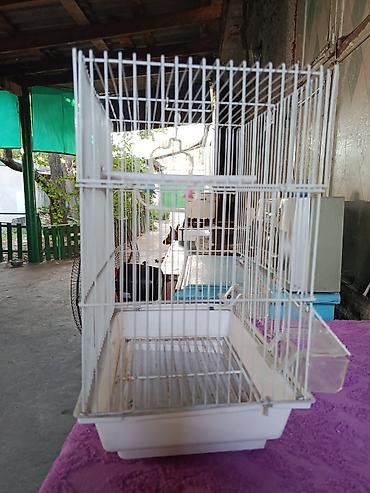 продаю авчарку: Продаю клетку для птиц — 1
