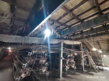 Цеха, заводы, фабрики: Продаю Фабрика, С оборудованием, Действующий, 2000 м² — 15