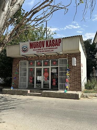 donuz eti: Mürov Kasap – halal kəsim ət, ət məhsulları və süd məhsulları — 1