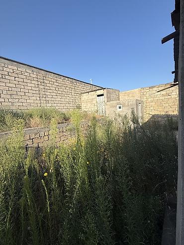 bileceride torpaq satilir: 3 sot, Tikinti, Mülkiyyətçi, Kupça (Çıxarış) — 5