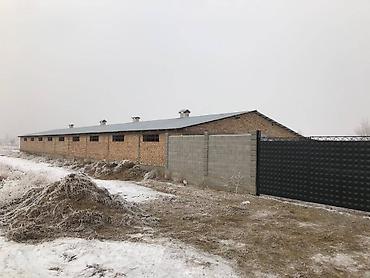 раздольное: Сдаю Кошару, от Шлагбаума 10км. возле объездной дороги. Участок 30 — 1