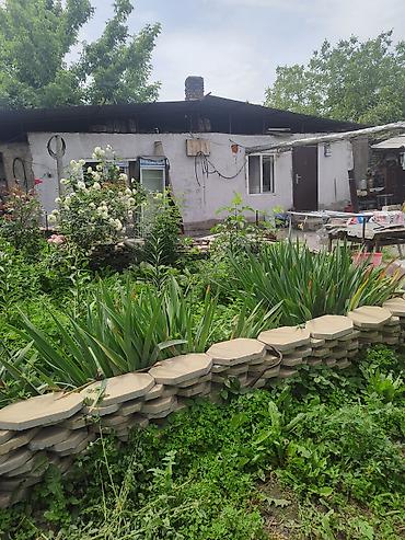 дача пристан: Продам дом с большим участком и хозяйственными постройками, находится — 5