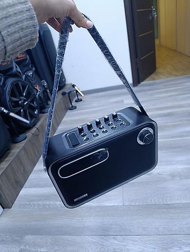 audio: Портативная караоке-система Karabass 12K-120WATT предлагает мощный — 5