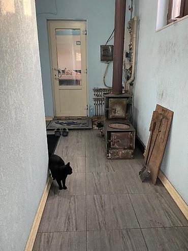 Продажа коттеджей и домов: В продаже Дом с огородом 18 соток . Для более детального обсуждения — 18