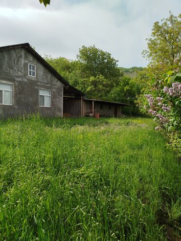 Torpaq sahələrinin satışı: 24 sot, Biznes üçün, Mülkiyyətçi, Kupça (Çıxarış) — 4