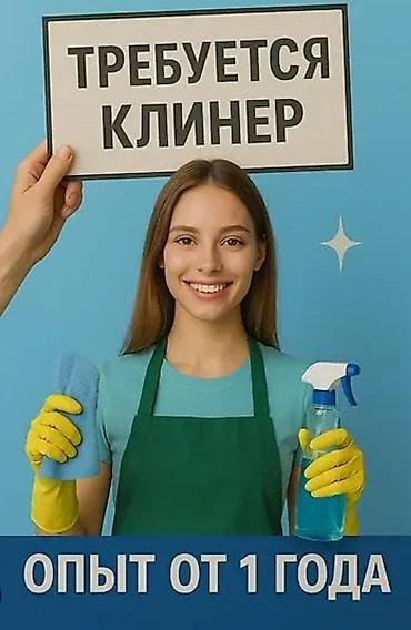 няня для дома: Ищу девушек и парней в клинингувую фирму желательно с опытом не — 1