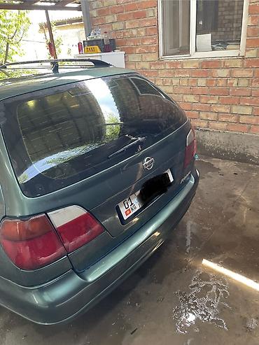 g2 master: Nissan Primera: 2000 г., 2 л, Механика, Бензин — 4