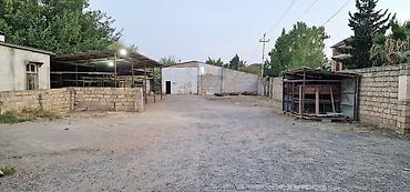 sedmoyda kiraye bina evleri: İCARƏYƏ VERİLİR: Sənaye/istehsalat üçün hasarlanmış mağaza və anbar — 2