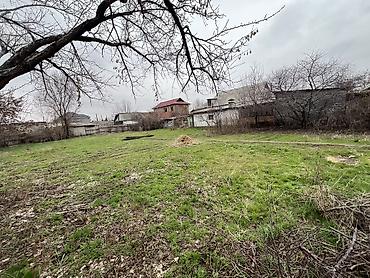 Жер тилкелери: 10 соток, Курулуш, Кызыл китеп — 2