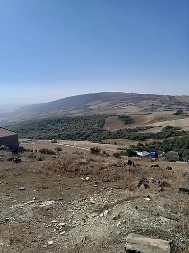 ev elanlari kirayə: 12 sot, Tikinti, Barter mümkündür, Kupça (Çıxarış) — 2