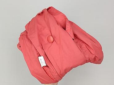 case: Carry, Sukienka damska, rozmiar S — 8